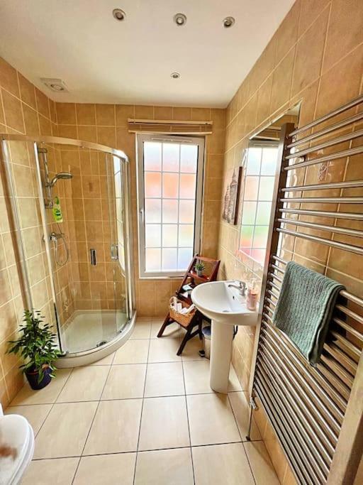 True Colours Apartment In Central Location Bangor  Ngoại thất bức ảnh